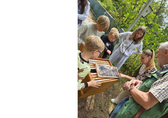 Besuch beim Imker Hans-Anton Hohmann